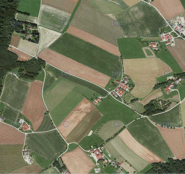 Armau, Gemeinde Michaelnbach