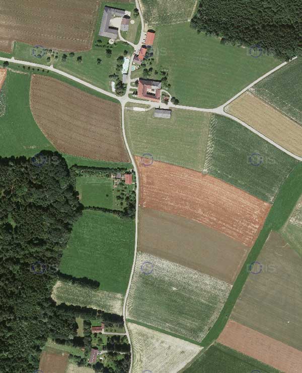 Hilpetsberg, Gemeinde Michaelnbach