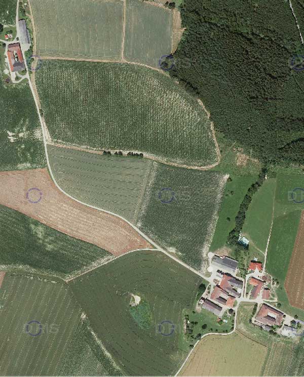 Mairdoppl, Gemeinde Michaelnbach